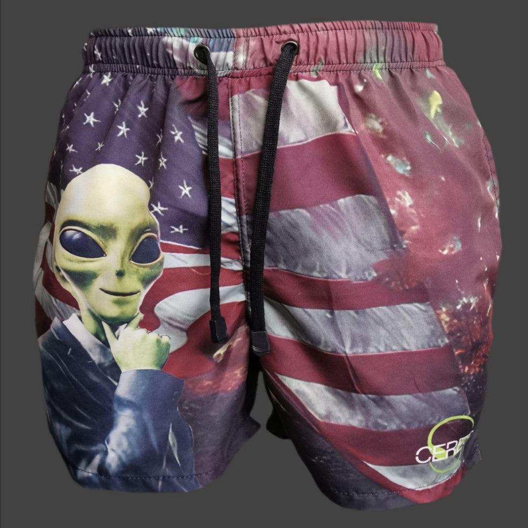 pich usa